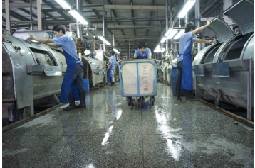 1513819430833611.png 11.png