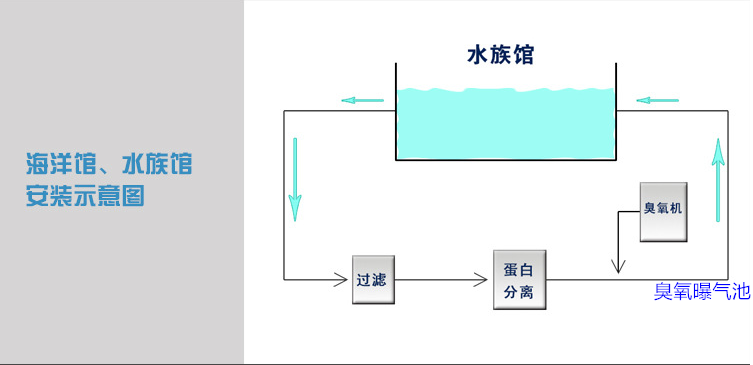海洋館過濾，蛋分，臭氧，曝氣池.png
